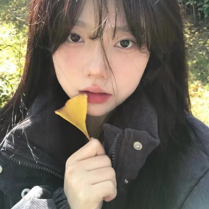 雁南飞